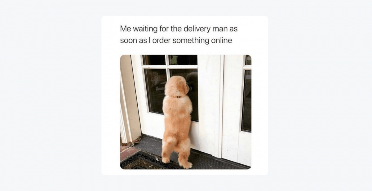 Meme with a puppy looking out the window with a caption: "Me waiting for the delivery man as soon as I order something online"