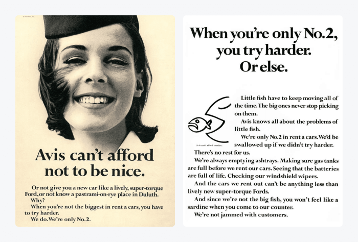 honest sales copy example honest sales copy example