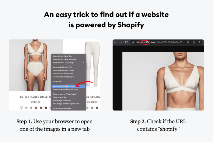 Infographic showing a 2-step trick to find out if a website is powered by Shopy