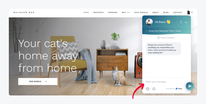 whiskers bag live chat on website example