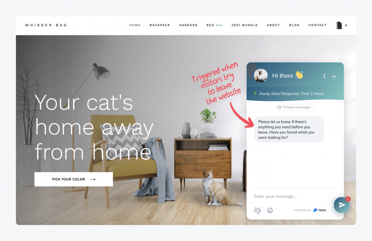 The Whisker bag homepage with Tidio widget open